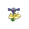 Shadow Flabebe (Yellow)